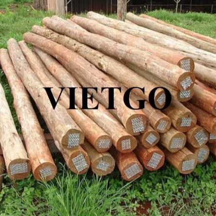 Thương vụ xuất khẩu gỗ keo tròn sang thị trường Tây Ban Nha