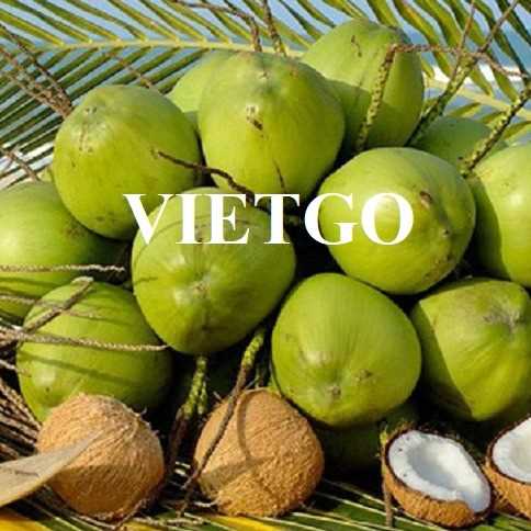 Cơ hội hợp tác xuất khẩu dừa đến thị trường Oman