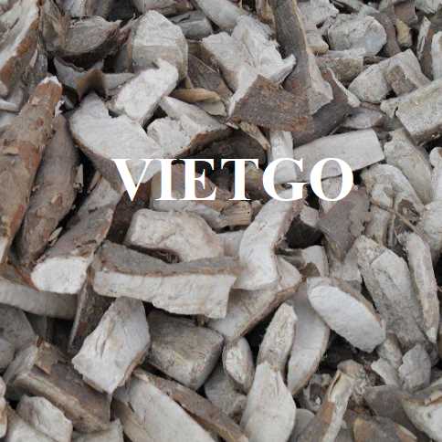 Cơ hội hợp tác xuất khẩu sắn lát đến thị trường Trung Quốc