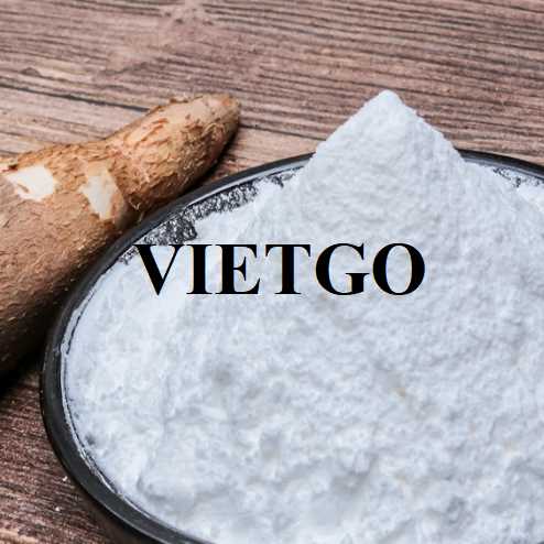 Cơ hội hợp tác xuất khẩu tinh bột sắn đến thị trường Trung Quốc