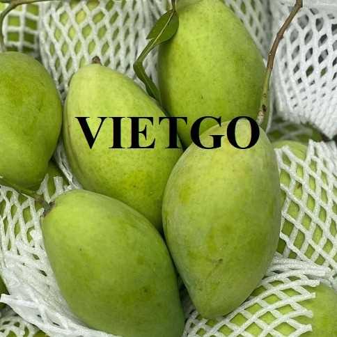 Cơ hội hợp tác xuất khẩu xoài đến thị trường Nga 