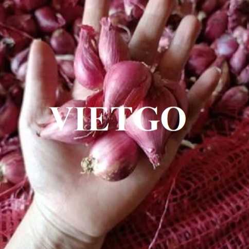 Cơ hội hợp xuất khẩu hành tím đến thị trường Sri Lanka