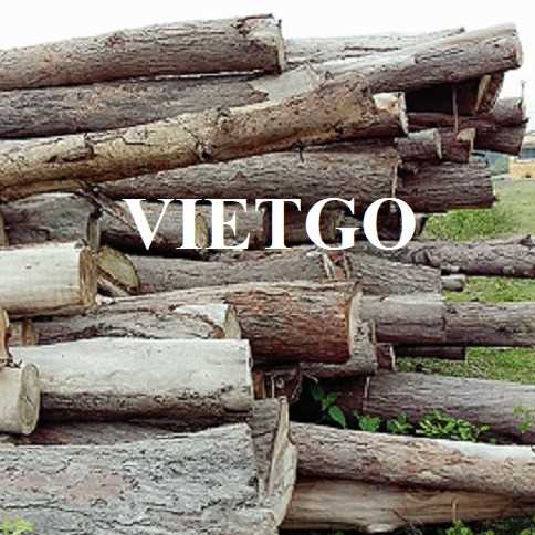 Thương vụ xuất khẩu sản phẩm gỗ bạch đàn tròn đến thị trường Ấn Độ