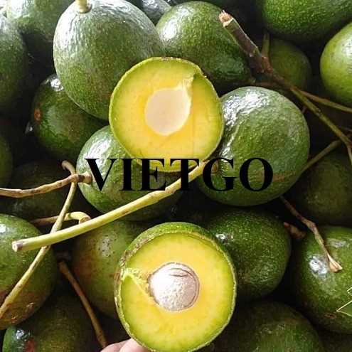 Cơ hội hợp tác xuất khẩu bơ đến thị trường Bangladesh