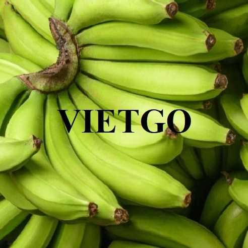 Cơ hội xuất khẩu chuối sang thị trường Trung Quốc