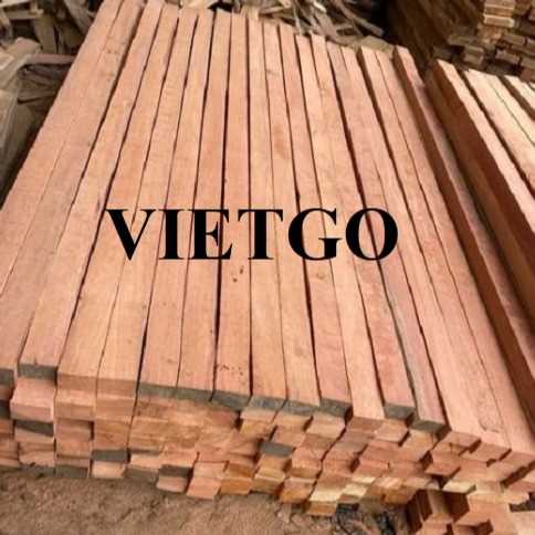 Thương vụ xuất khẩu gỗ bạch đàn sang thị trường Brazil