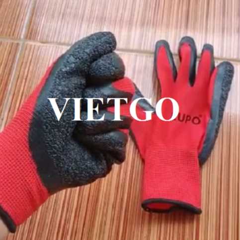 Cơ hội xuất khẩu găng tay lao động đến thị trường Cộng hòa Séc