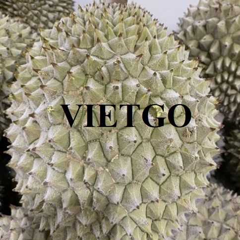 Cơ hội xuất khẩu sầu riêng đông lạnh đến thị trường Trung Quốc