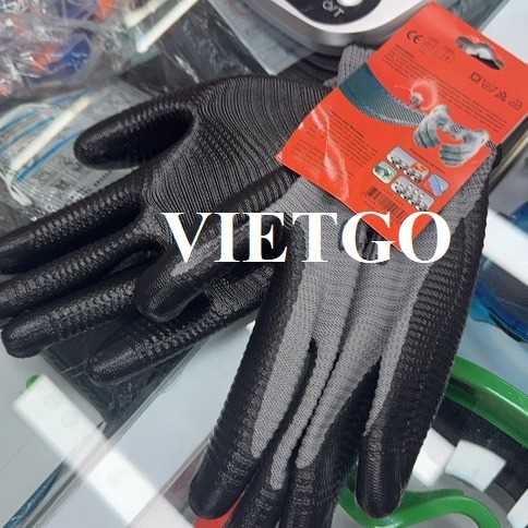 Cơ hội xuất khẩu găng tay lao động đến Ma – rốc 