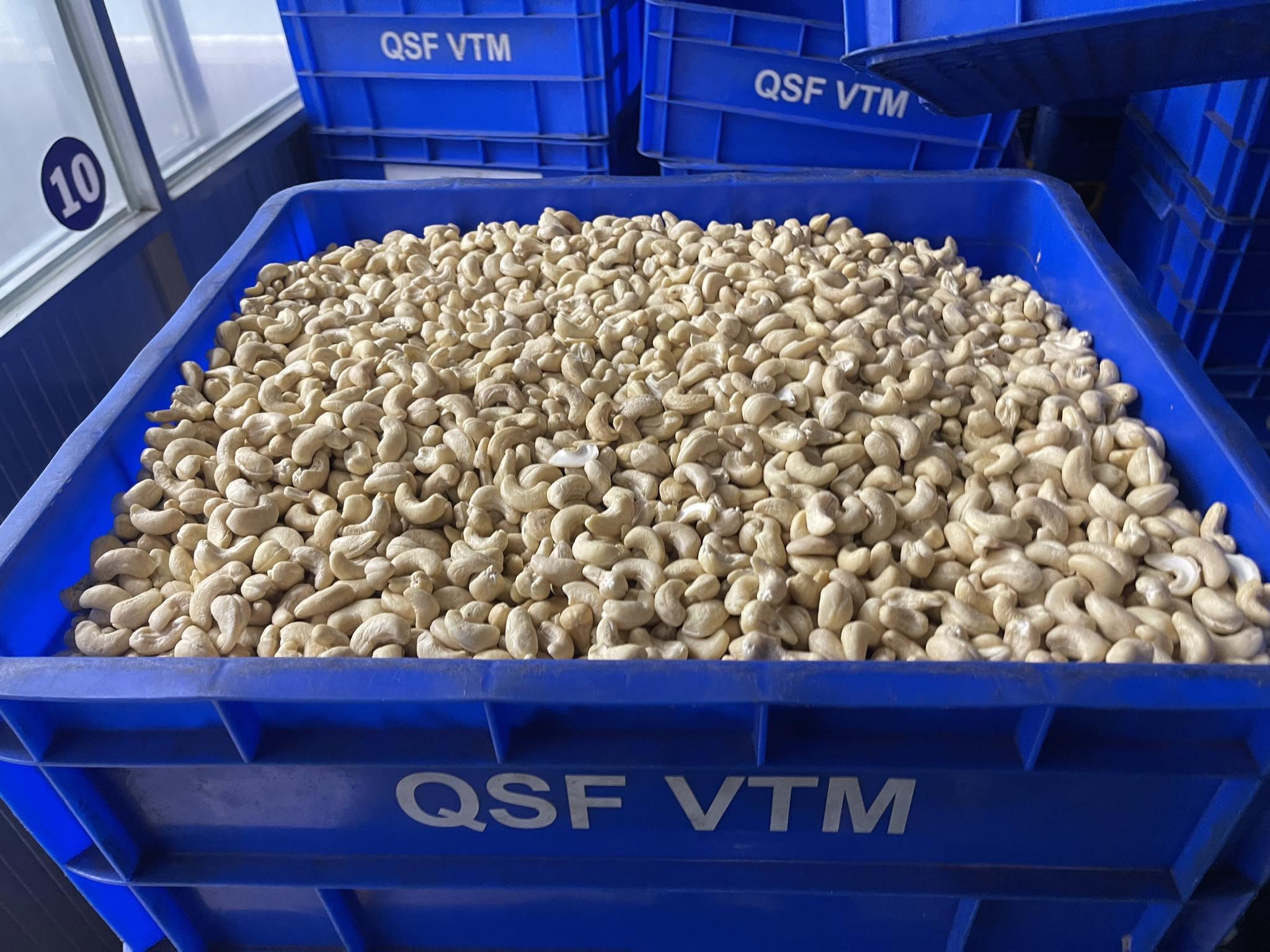 Cần tìm FWD báo giá cước vận tải hàng điều đi Ấn Độ