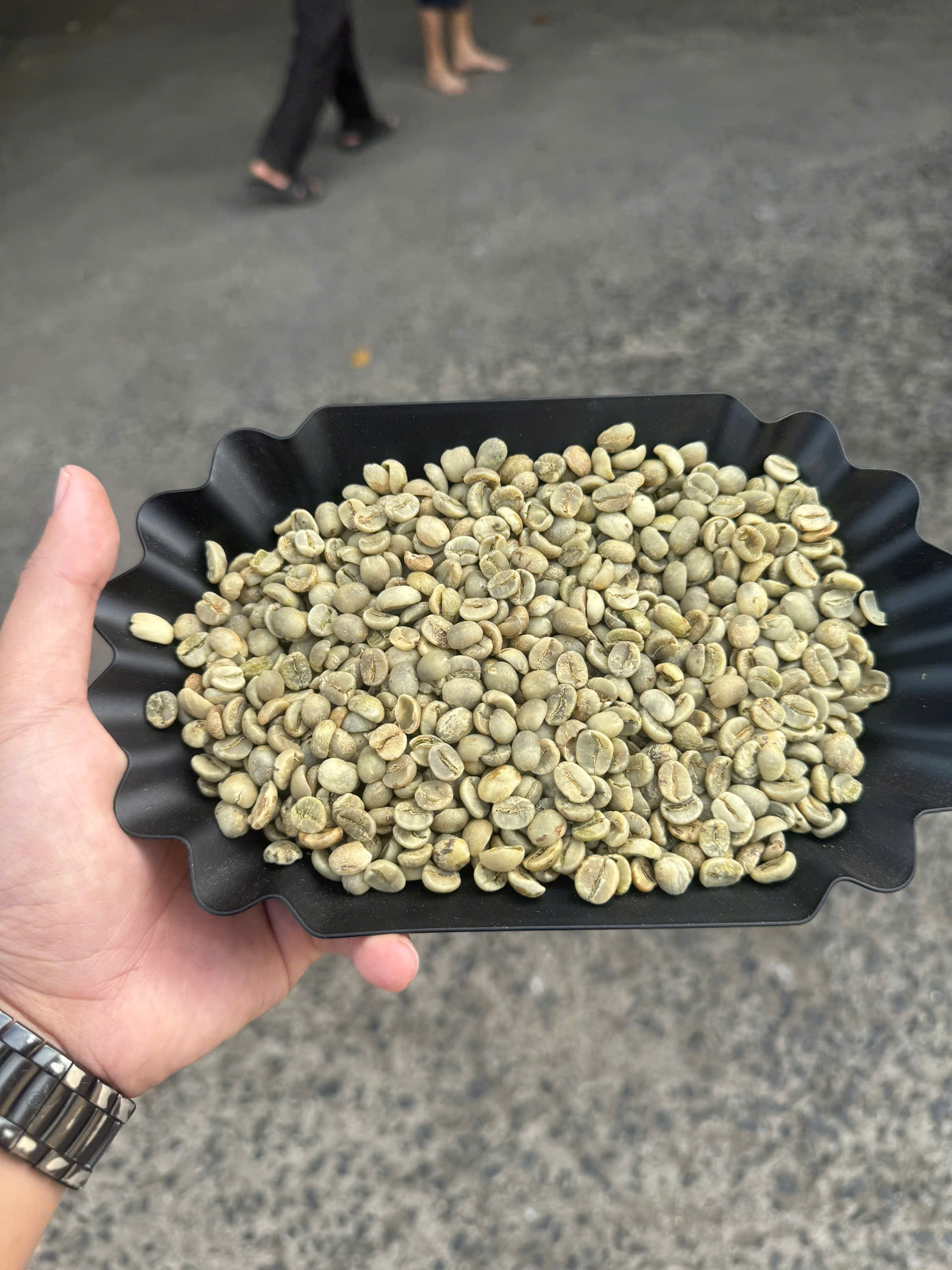 Cần tìm FWD báo giá cước vận tải hàng cafe đi Anh