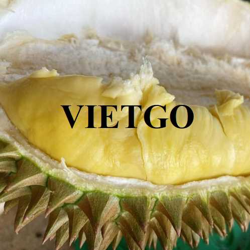 Cơ hội hợp tác xuất khẩu sầu riêng đến thị trường Ý 