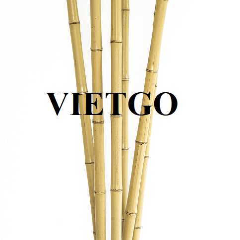 Cơ hội xuất khẩu gậy tre sang thị trường Ấn Độ