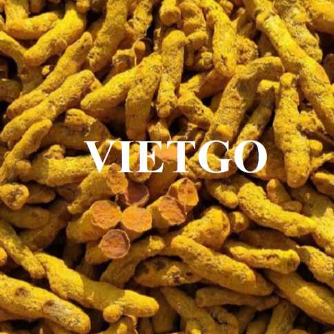 Cơ hội xuất khẩu nghệ sang thị trường Ấn Độ