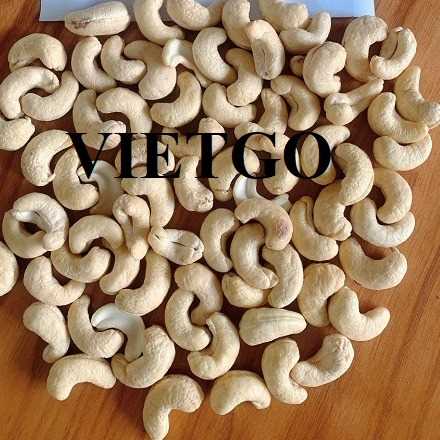 Cơ hội xuất khẩu hạt điều w180 cùng vị khách hàng người Ấn Độ
