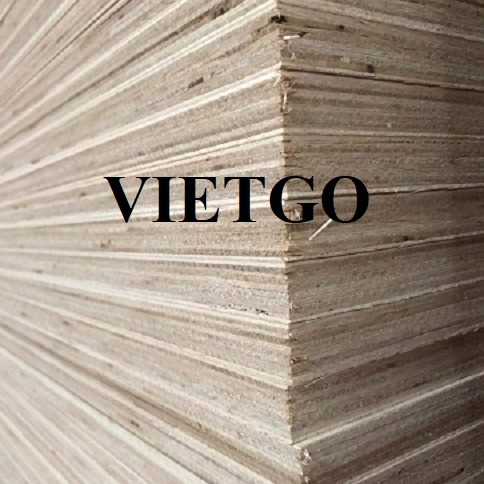 Thương vụ xuất khẩu gỗ dán LVL đến thị trường Indonesia