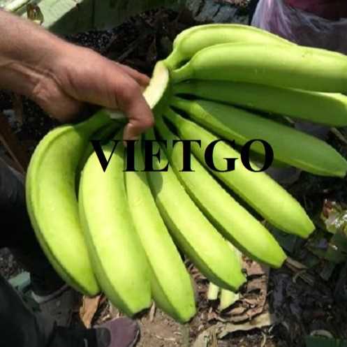 Thương vụ xuất khẩu chuối sang thị trường Bahrain 