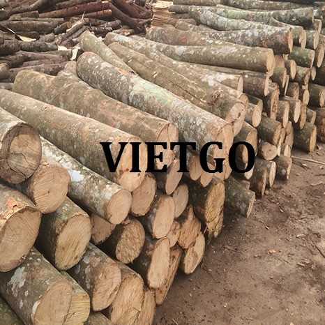 Thương vụ xuất khẩu sản phẩm gỗ thông tròn đến thị trường Ấn Độ
