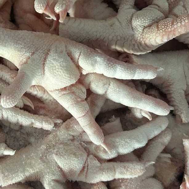 I want to buy chicken paws 