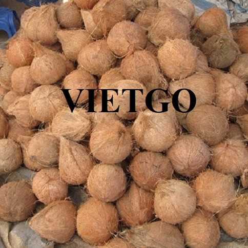 Cơ hội hợp tác xuất khẩu dừa đến thị trường Malaysia