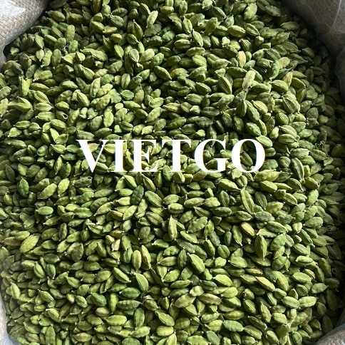 Cơ hội xuất khẩu thảo quả xanh sang thị trường UAE