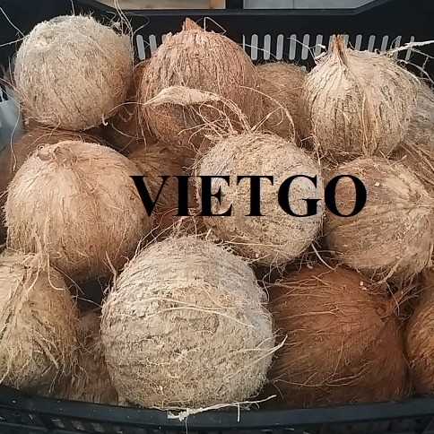 Cơ hội xuất khẩu dừa khô lột vỏ sang thị trường Chile