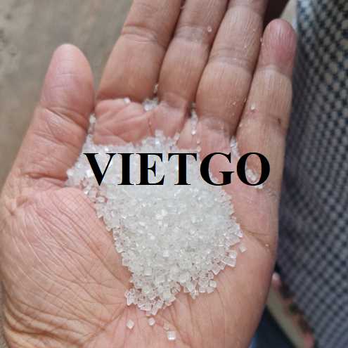 Cơ hội hợp tác xuất khẩu đường đến thị trường Iraq 