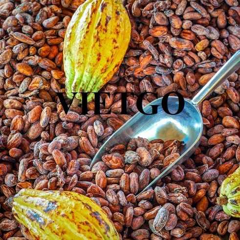 Cơ hội xuất khẩu hạt cacao sang thị trường Nepal