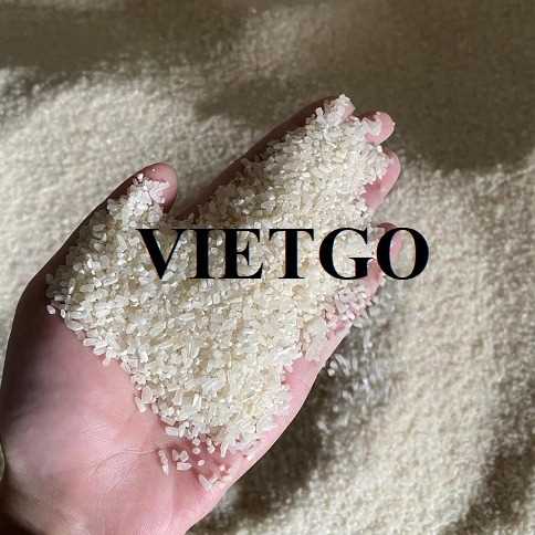 (Gấp) Cơ hội hợp tác xuất gạo tới Trung Quốc