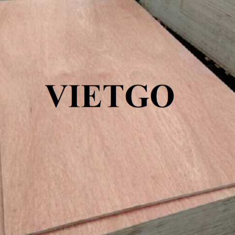 Thương vụ xuất khẩu gỗ dán đến thị trường Ý 
