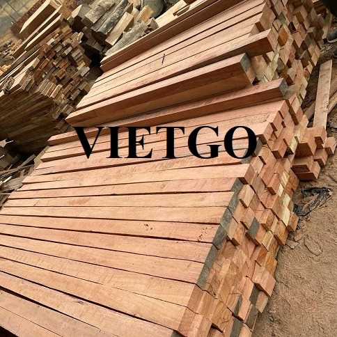 Thương vụ xuất khẩu gỗ bạch đàn xẻ sang thị trường Úc