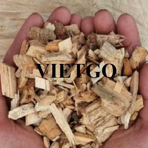 Cơ hội hợp tác xuất khẩu gỗ vụn tới thị trường Trung Quốc