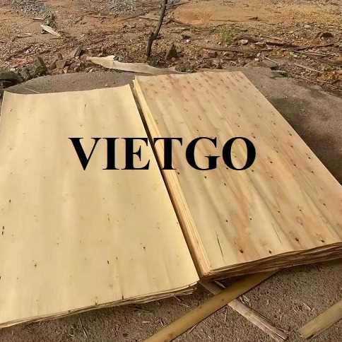 Thương vụ xuất khẩu ván bóc sang thị trường Ấn Độ