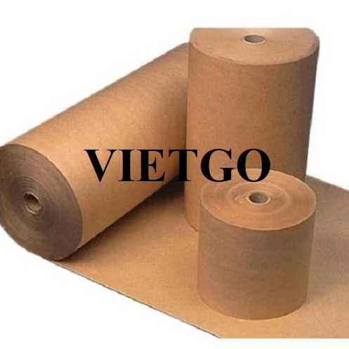 Cơ hội xuất khẩu cuộn giấy kraft sang thị trường Thổ Nhĩ Kỳ