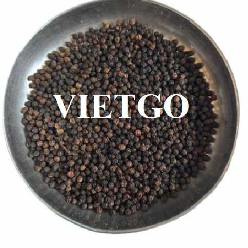 Cơ hội hợp tác xuất khẩu hạt tiêu đến thị trường Ấn Độ  