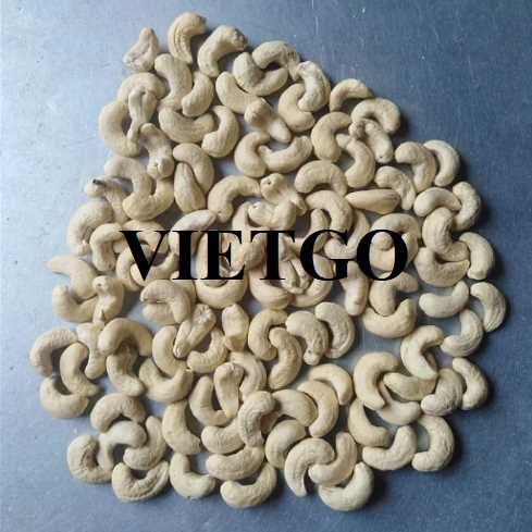Cơ hội hợp tác xuất khẩu hạt điều đến thị trường Ấn Độ  