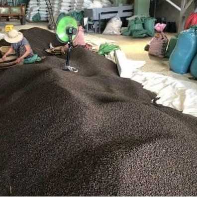 I want to buy black pepper
