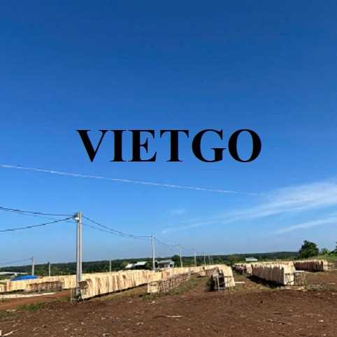 Thương vụ xuất khẩu ván bóc cao su sang thị trường Ấn Độ