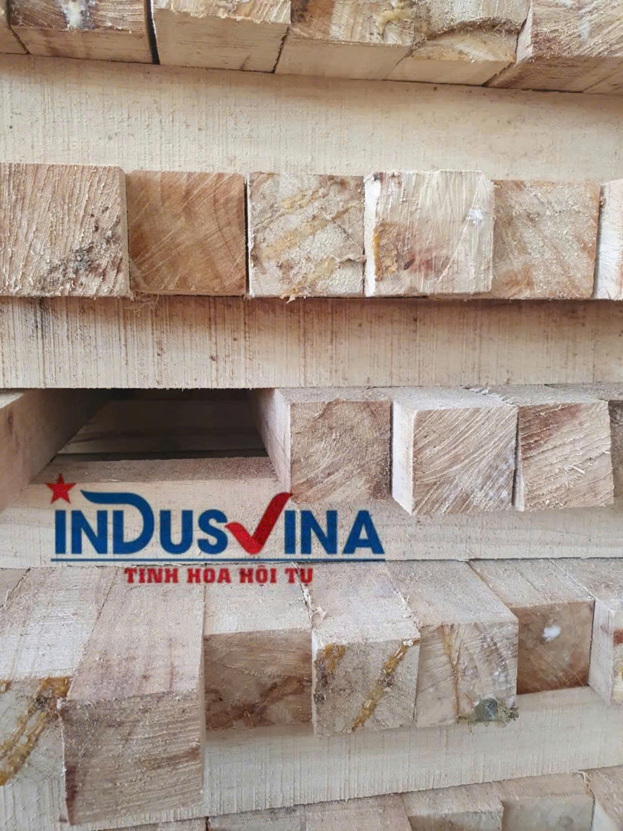 Cần tìm cước biển cho hàng gỗ xẻ đi Hàn Quốc