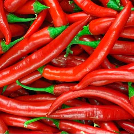 I want to buy chilli
