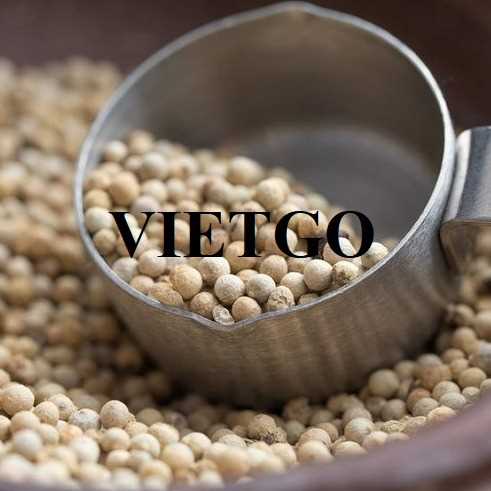 Cơ hội xuất khẩu hạt tiêu đen và hạt tiêu trắng sang thị trường Thái Lan  