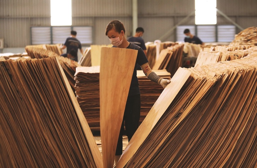 Cần mua sản phẩm ván bóc keo sang Ấn Độ