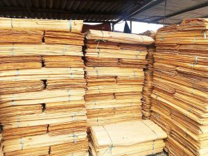 Cần mua sản phẩm ván bóc cao su sang Ấn Độ