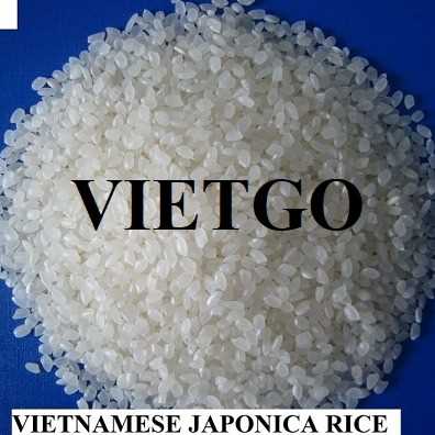 Cơ hội xuất khẩu gạo Japonica sang thị trường Syria