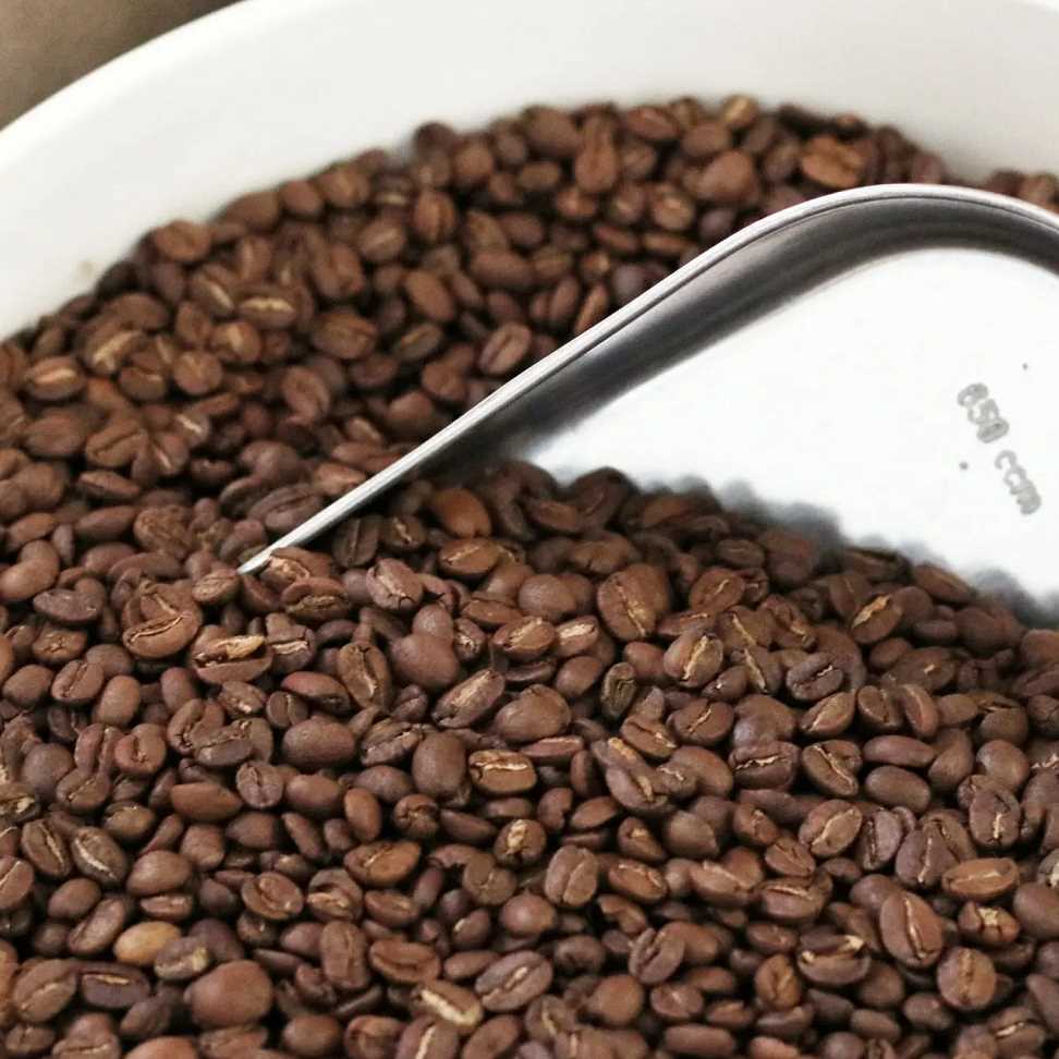 I want to buy Roasted Coffee beans 