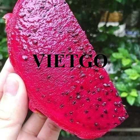 Cơ hội xuất khẩu thanh long ruột đỏ sang thị trường Ấn Độ