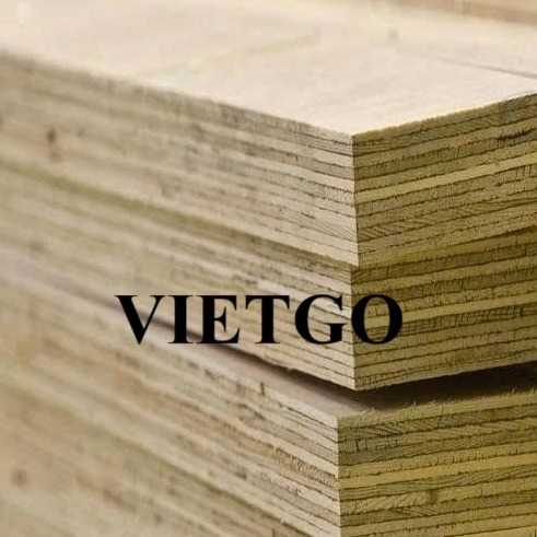 Thương vụ xuất khẩu gỗ dán LVL sang thị trường Malaysia  