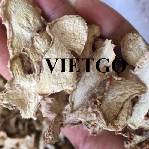 Cơ hội hợp tác xuất khẩu gừng đến thị trường UAE 