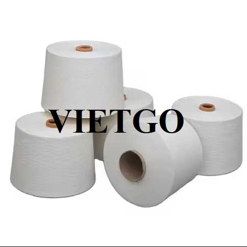 Cơ hội xuất khẩu sợi tới Ai Cập 