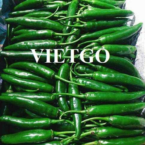 Cơ hội hợp tác xuất khẩu ớt đến thị trường Ấn Độ   